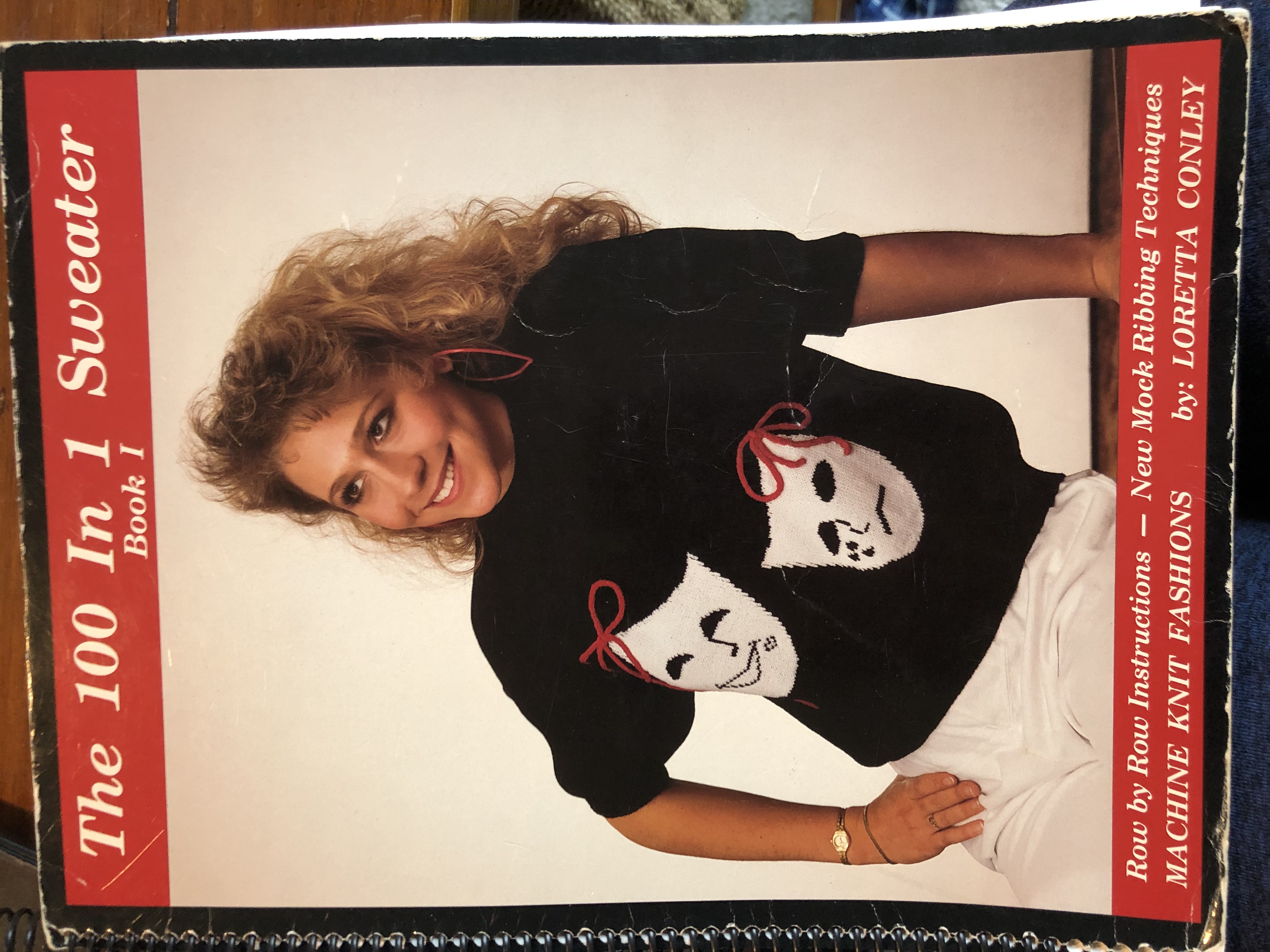 Cover of The 100 in 1 Sweater Book for adults