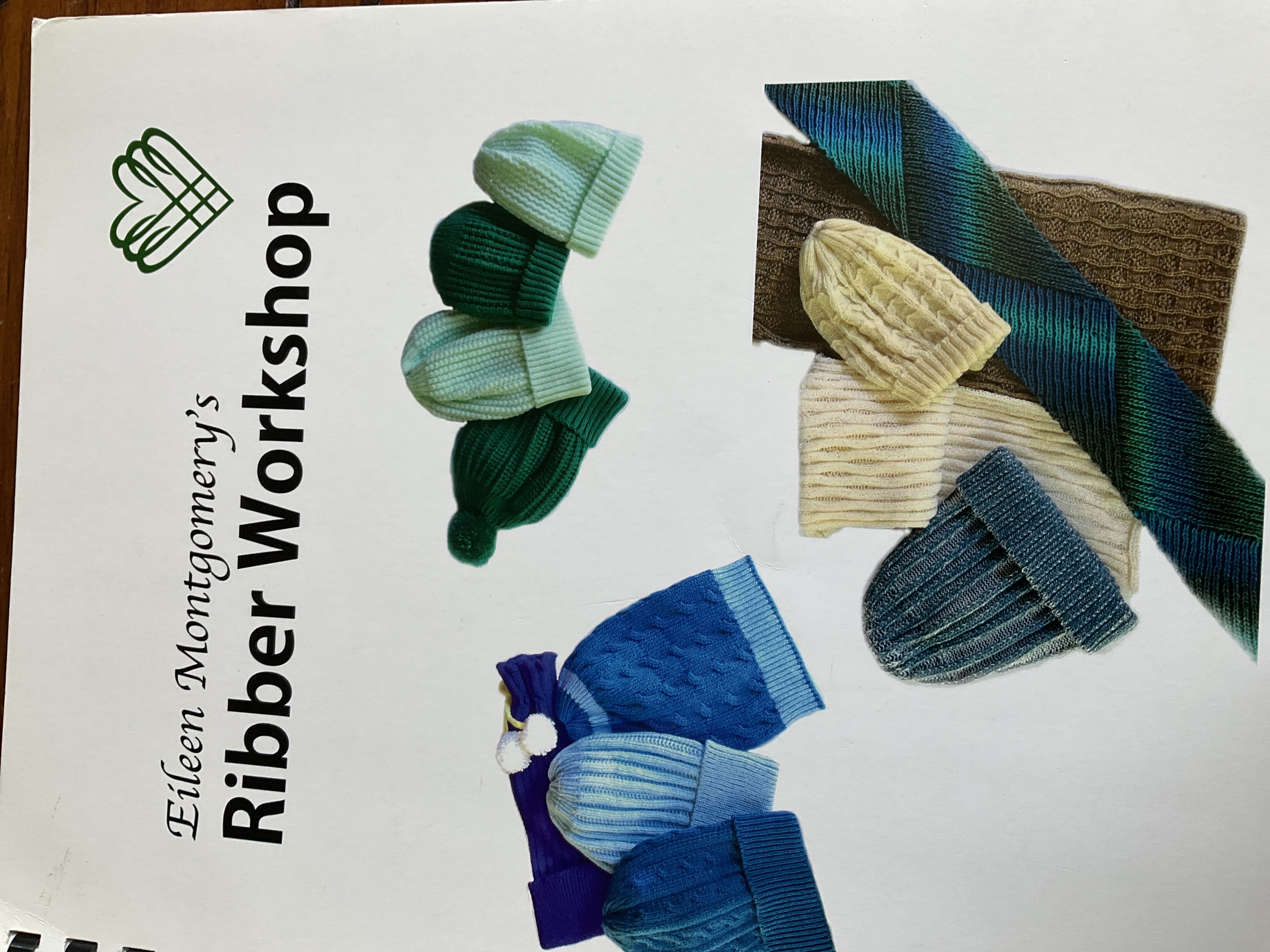 Cover of Ribber Workshop